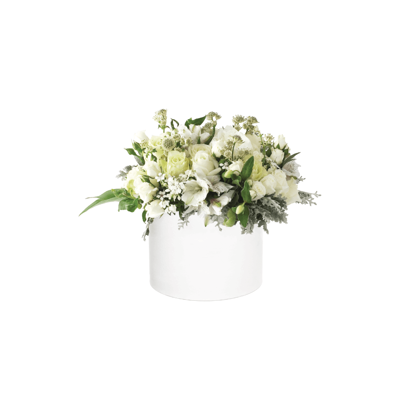 White flowers in a box