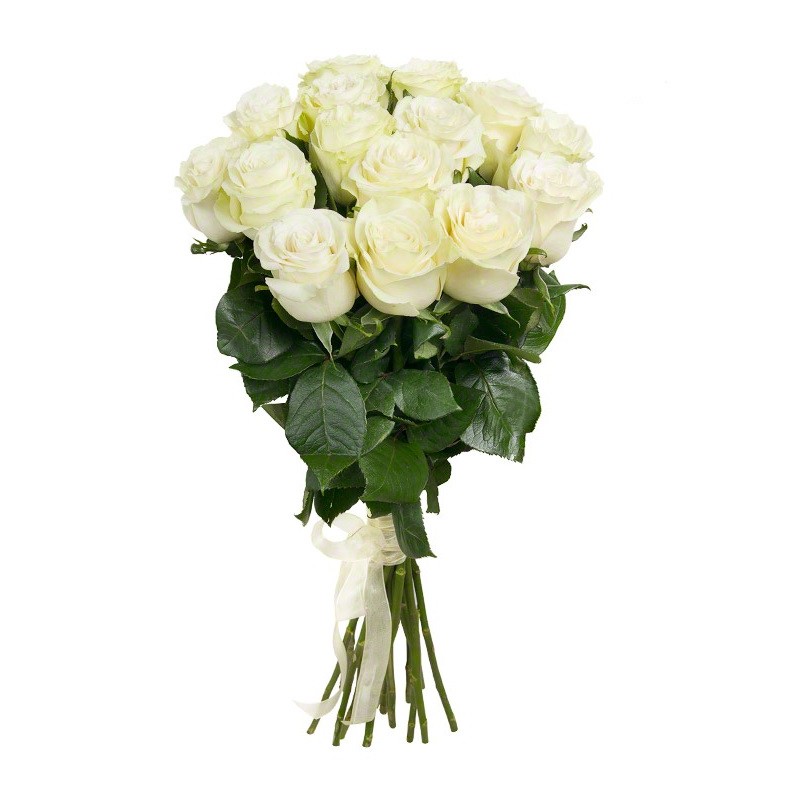 15 White roses (70-80cm)