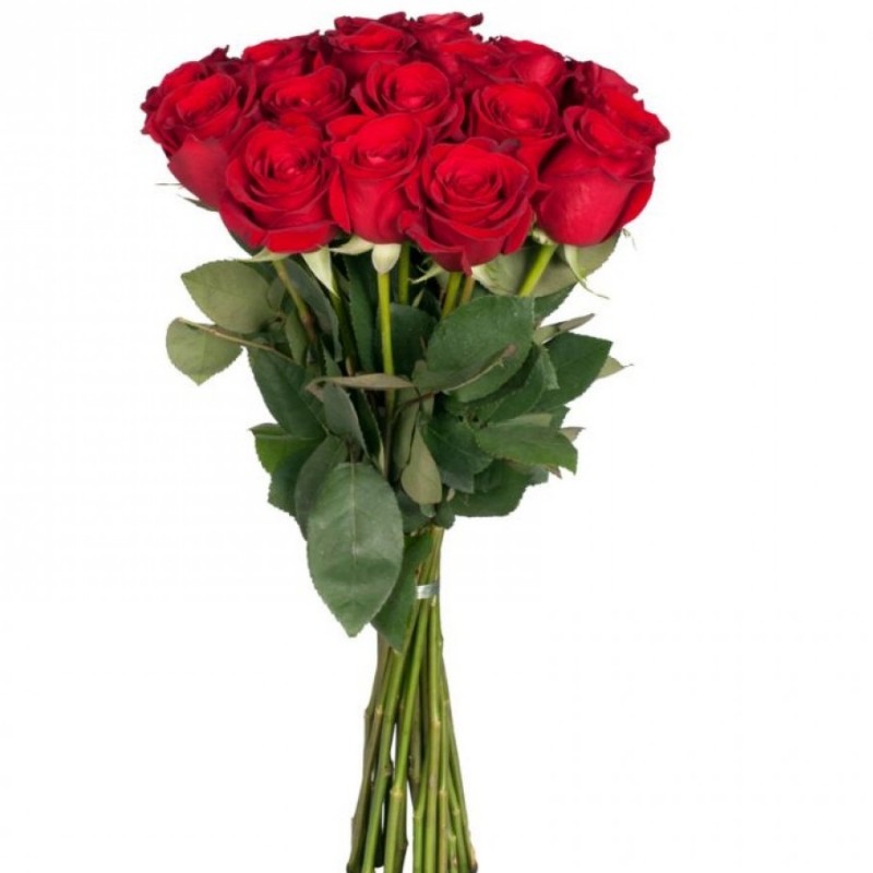 15 Red roses (70-80cm)