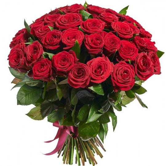 51 Raudona rožė (60-70cm)