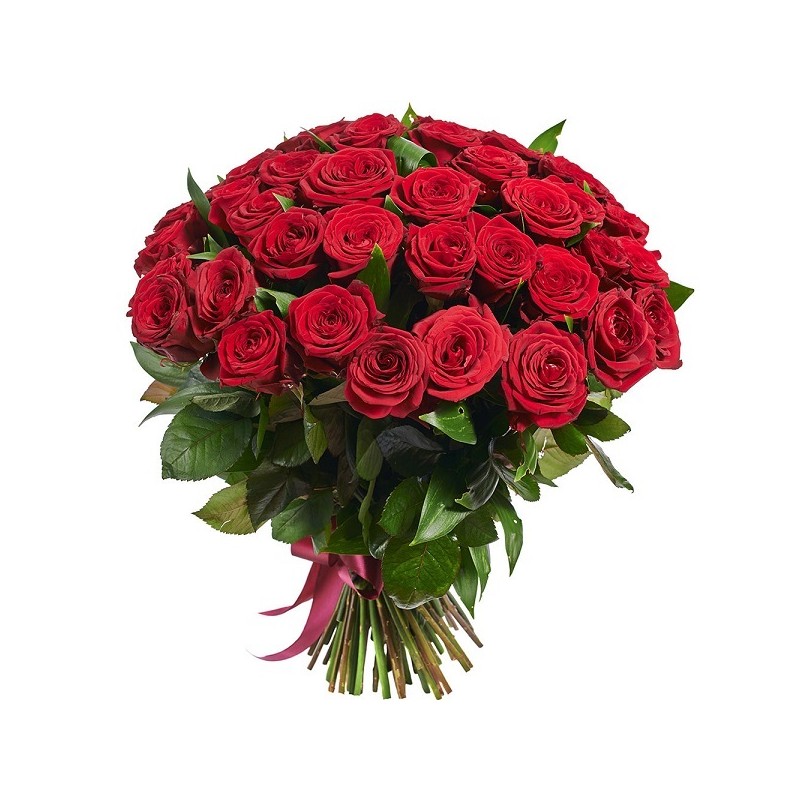 51 Red roses (60-70cm)
