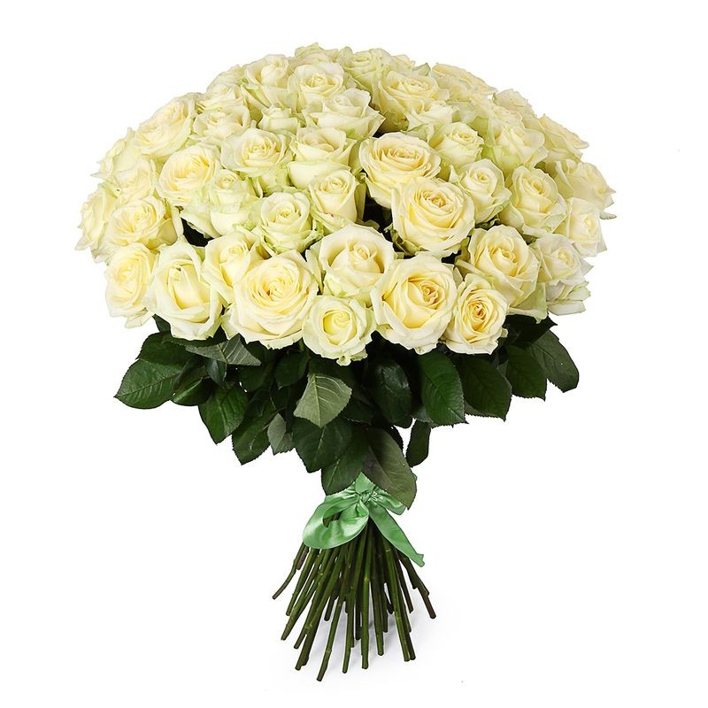 51 White roses (60-70cm)