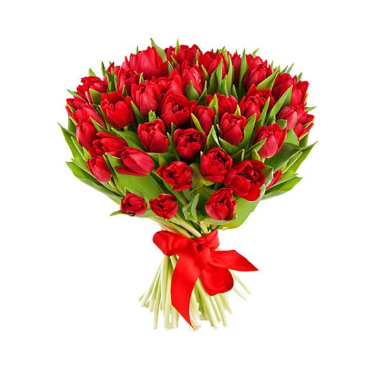51 Red tulips