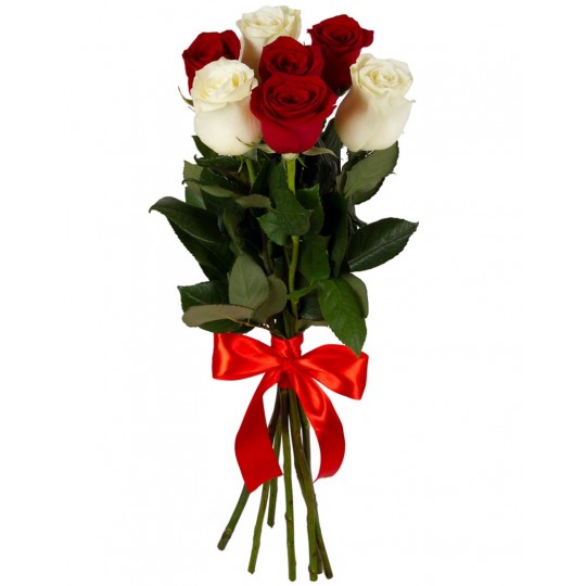 Raudonų ir baltų rožių "Mix"